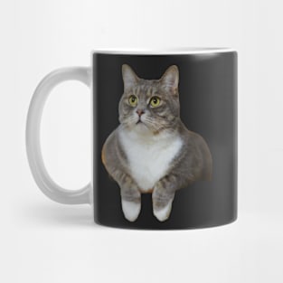 cat chilling Mug